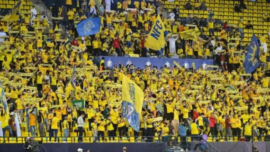 جماهير النصر