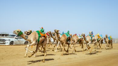 مهرجان ولي العهد للهجن 2025