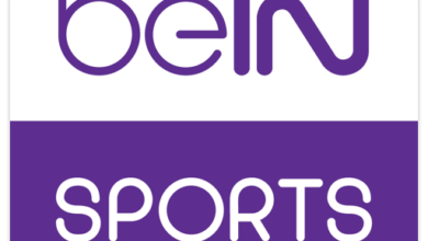 بث مباشر: شاهد مباراة الإمارات ومصر في كأس العرب 2025(getty)