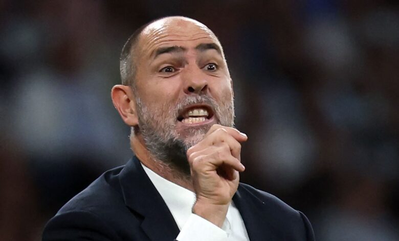 إيغور تودور: لا أستمتع بكوني مدرب توتنهام.. الأولوية للعمل - AFP