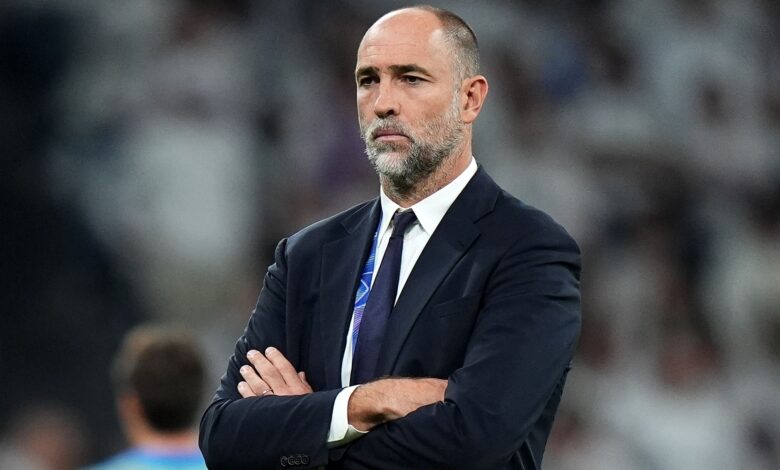 توتنهام: رسالة مدربهم السابق لإيغور تودور حول النجوم الشابة