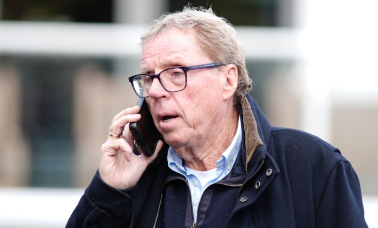 هاري ريدناب يعود لتوتنهام؟ أسطورة النادي يعبر عن رغبته بالتدريب