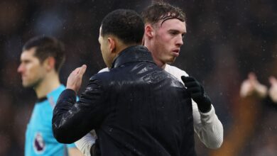 بالمر يقطع مقابلة روسينيور ويُجبره على الضحك.. ثلاثية في شباك وولفرهامبتون