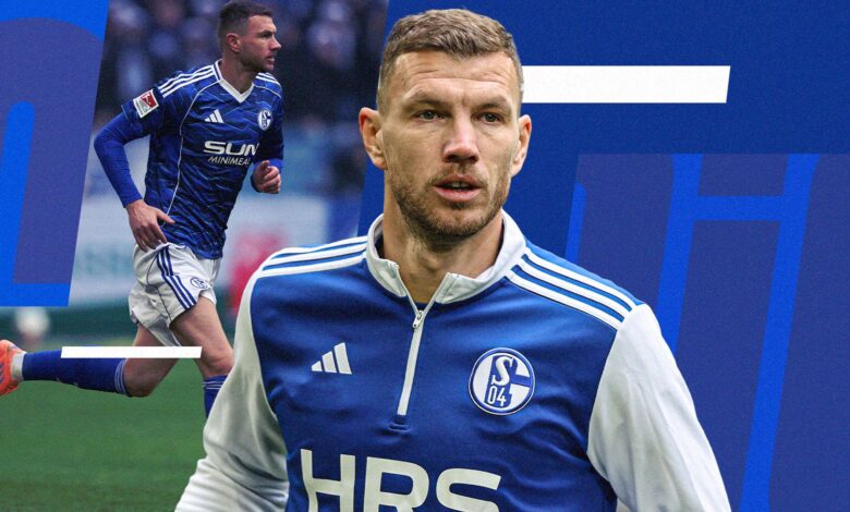 إدين دجيكو: هداف شالكة الشاب الذي هرب من الهبوط -