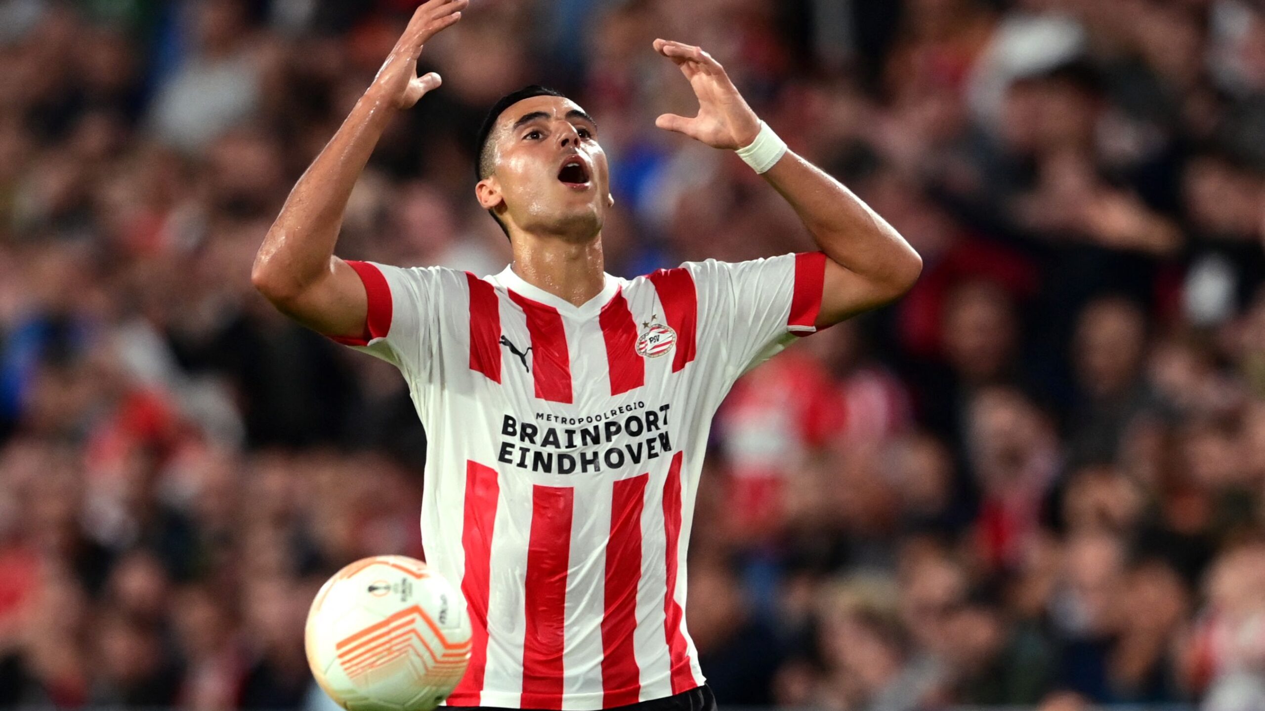 أنور الغازي ينتصر على ماينز: حقوق المدافع عن فلسطين محفوظة