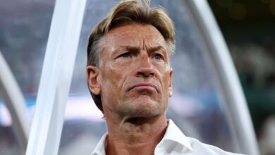 رينارد الأهلي.. هل يقود رينارد المارد الأحمر بعد السعودية؟