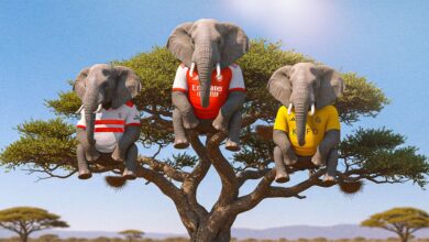 متلازمة الفيل والشجرة.. هل تنسف أحلام أرسنال والنصر؟