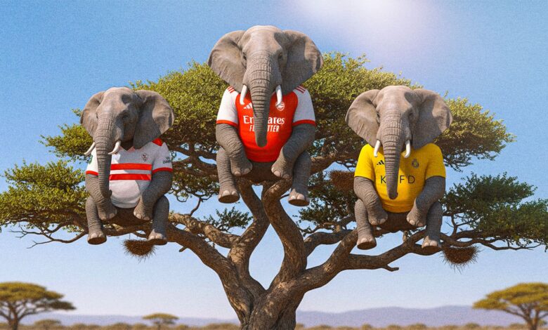 متلازمة الفيل والشجرة.. هل تنسف أحلام أرسنال والنصر؟