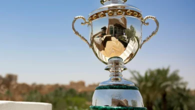 دوري روشن: حصول جميع أندية دوري روشن على الرخصة المحلية والآسيوية