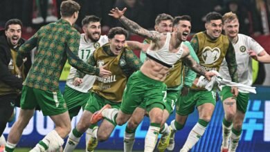 تذاكر جمهورية أيرلندا ضد النمسا: أسعار وموعد المباراة